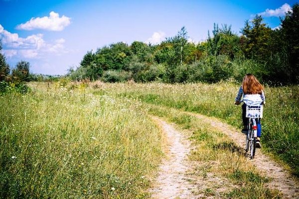 Comment gérer efficacement votre temps et votre budget en choisissant une location de vélo à Anglet ?