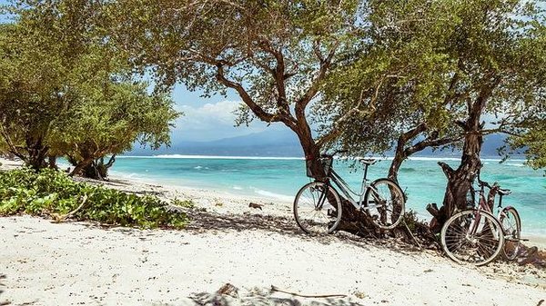 Comment optimiser votre temps et votre budget grâce à une location de vélo à Anglet?